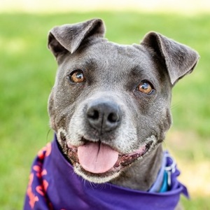 Fundraising Page: Tony Winkler